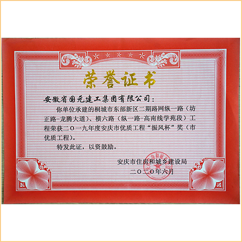 2019桐城市東部新區(qū)二期路網(wǎng)縱一路（坊正路-龍騰大道）、橫六路（縱一路-高南線(xiàn)學(xué)苑段）振風(fēng)杯 